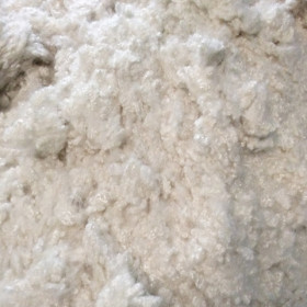 Polyester Cotton wool